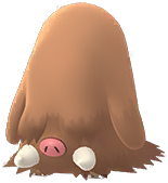 piloswine