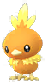 torchic