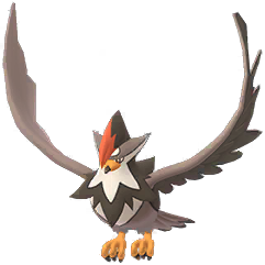 staraptor