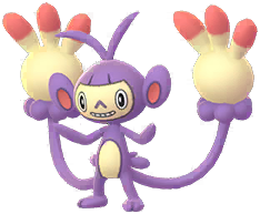 ambipom