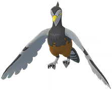 unfezant