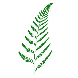 Barnsley fern