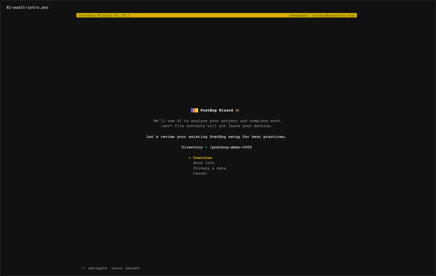 audit 01-audit-intro