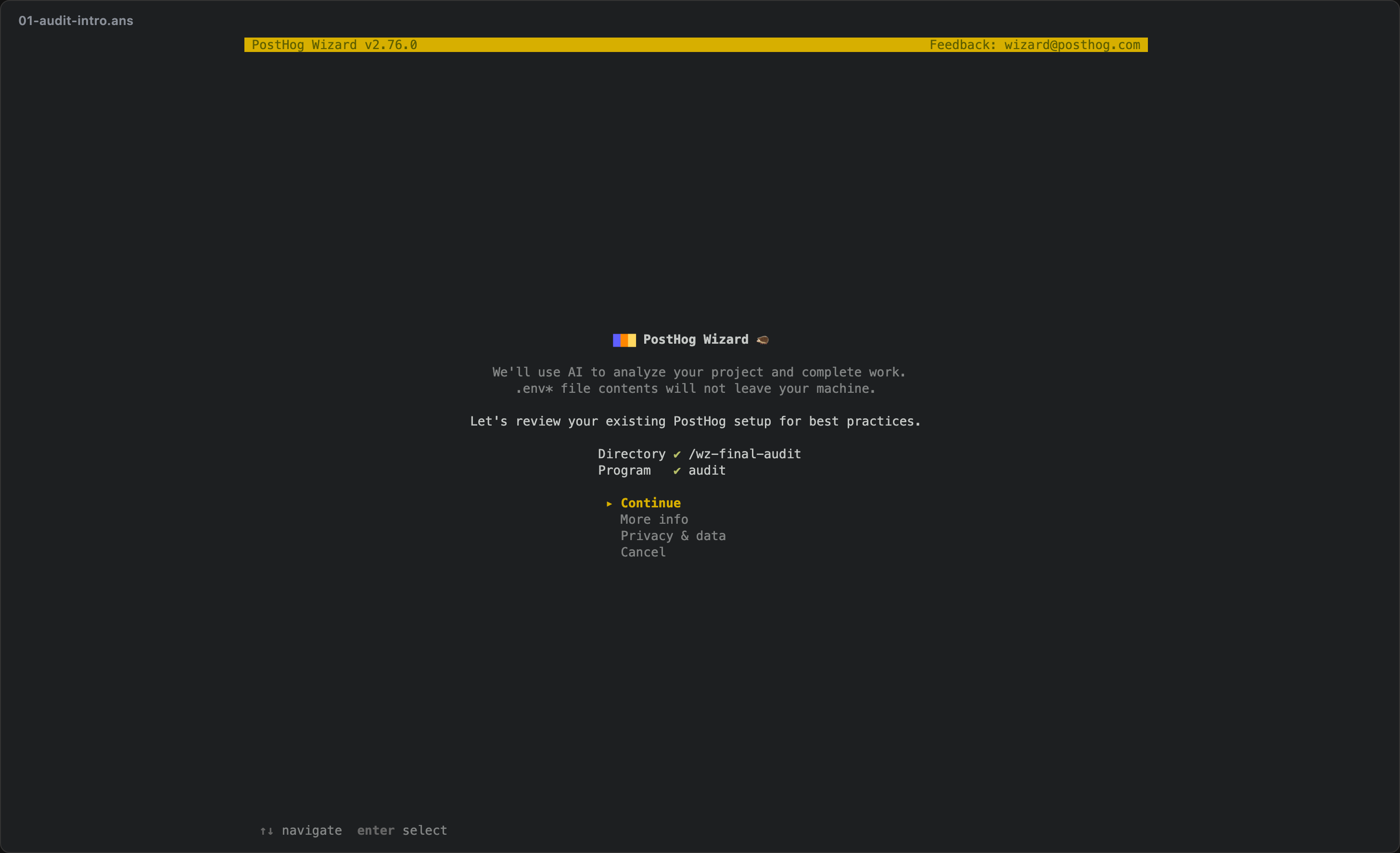 audit 01-audit-intro