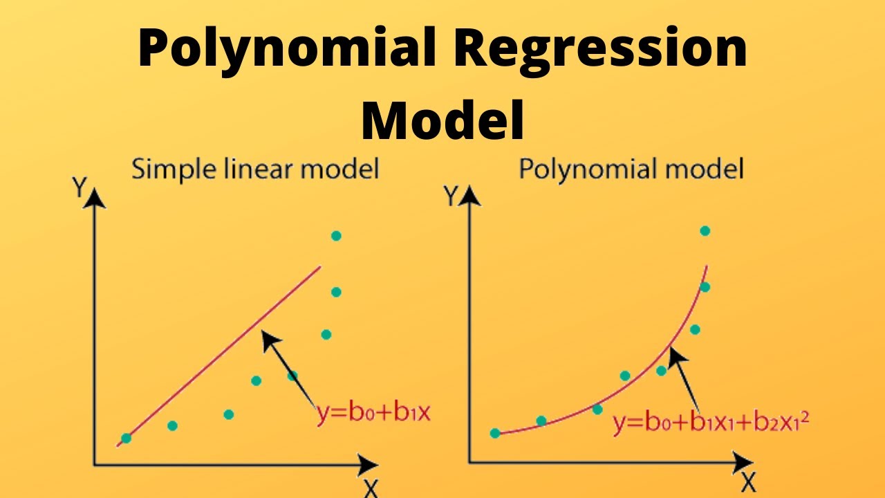 Bending the Curve: Mastering the Art of Polynomial Regression