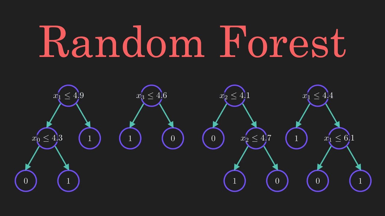 From a Tree to a Forest: A Guide to Random Forest Algorithm