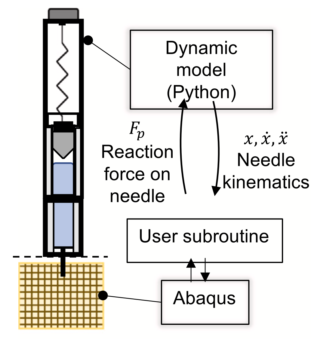 coupled-injection-model