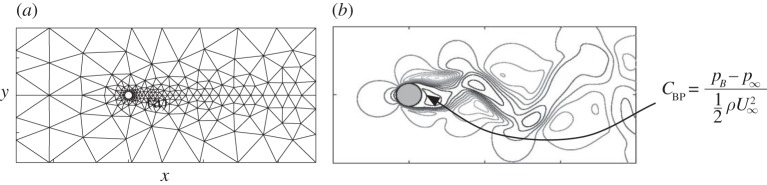 flow-past-cylinder