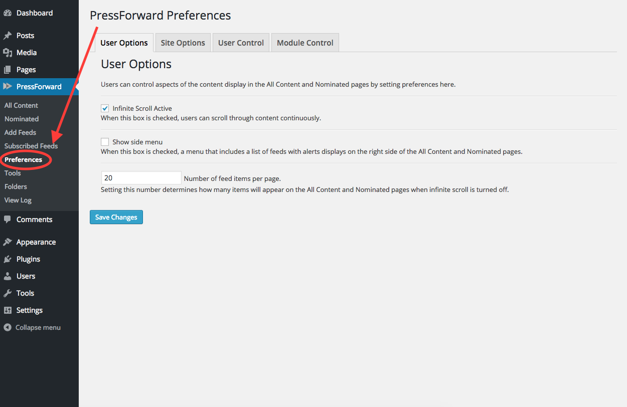 Preferences Panel