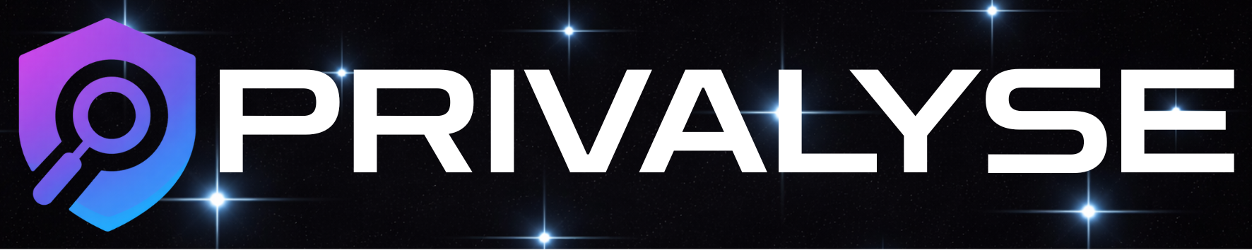 Privalyse Logo