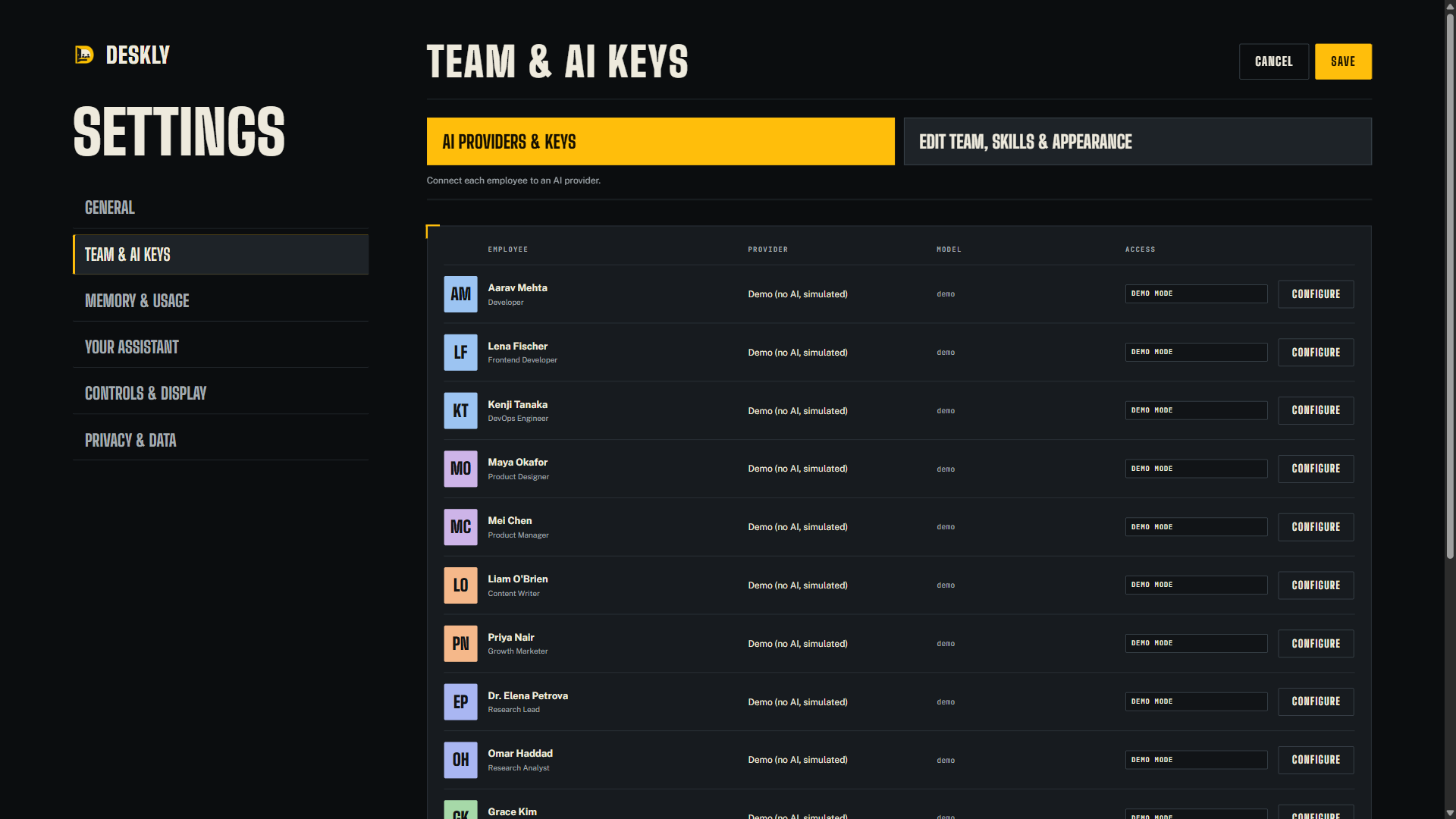 Current team settings with visible provider and team, skills and appearance tabs