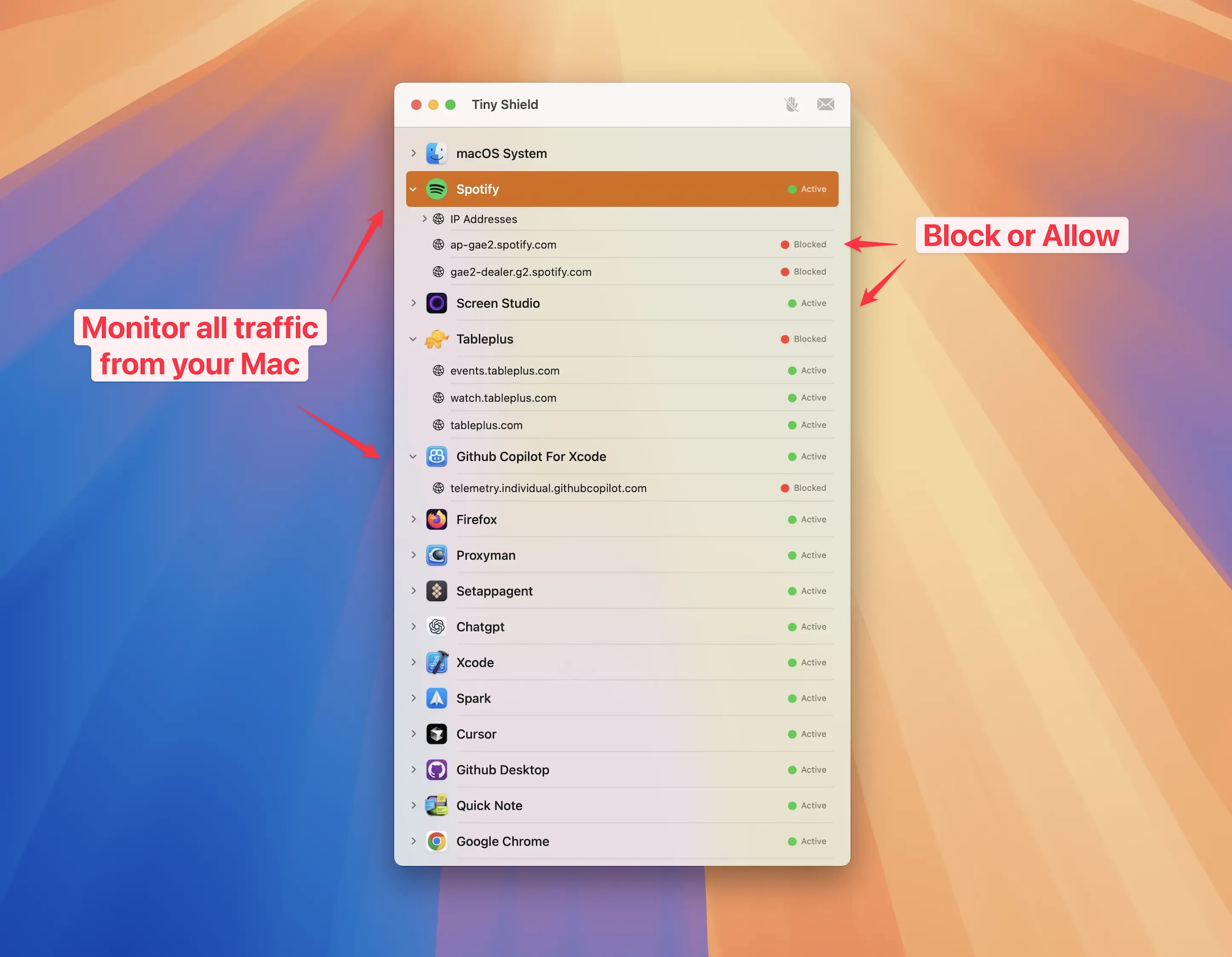 Tiny Shield - Network Monitor on macOS