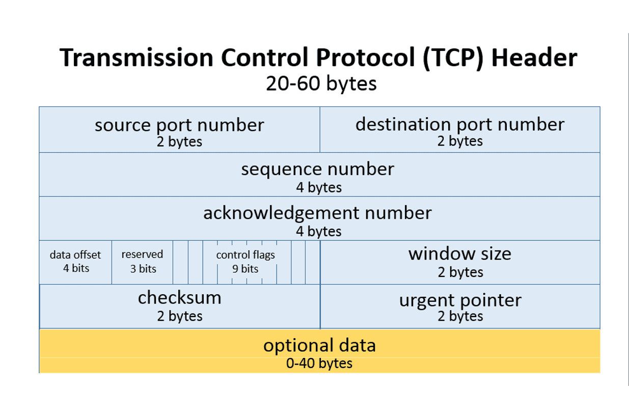 TCPheader.jpg