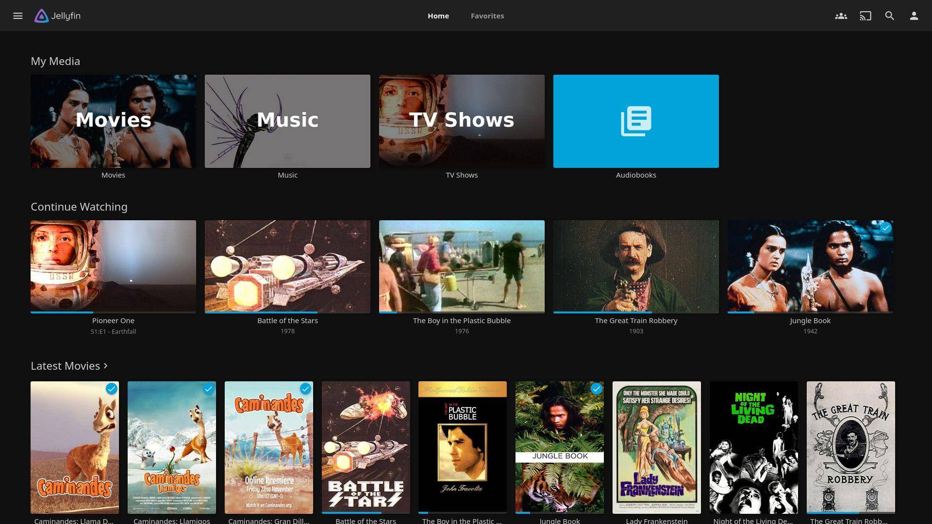 Screenshot of Jellyfin