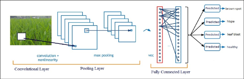 Plant AI model visualization