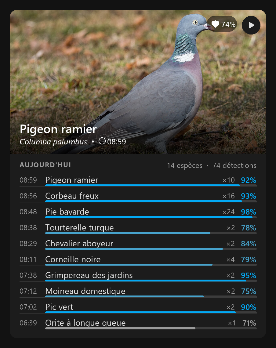 Carte BirdNET