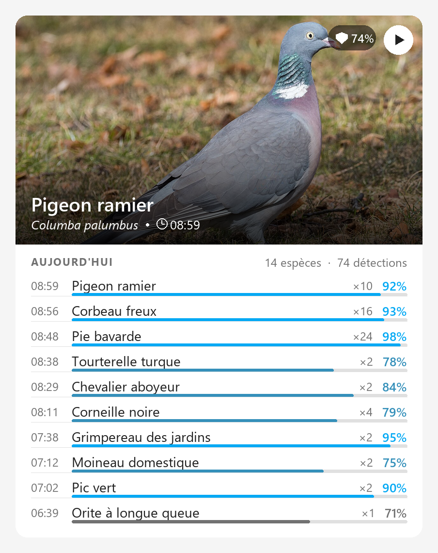 Carte BirdNET