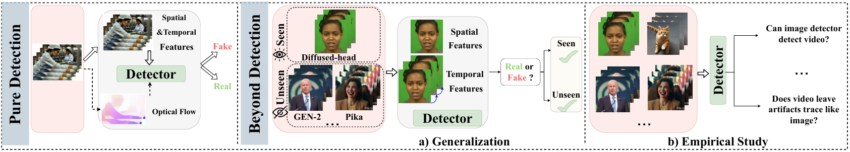 Video Detection