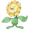 Sunflora