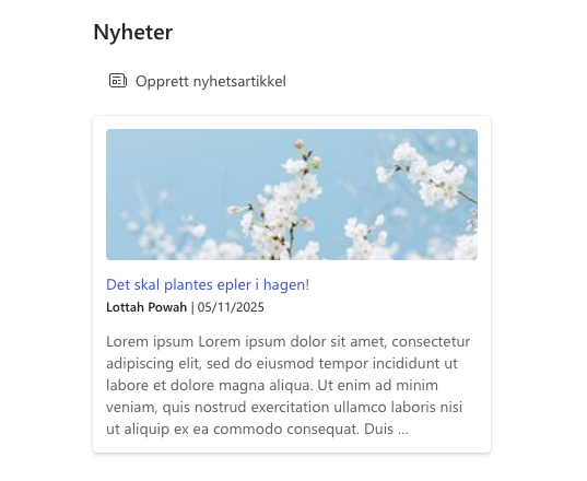 Prosjektnyheter