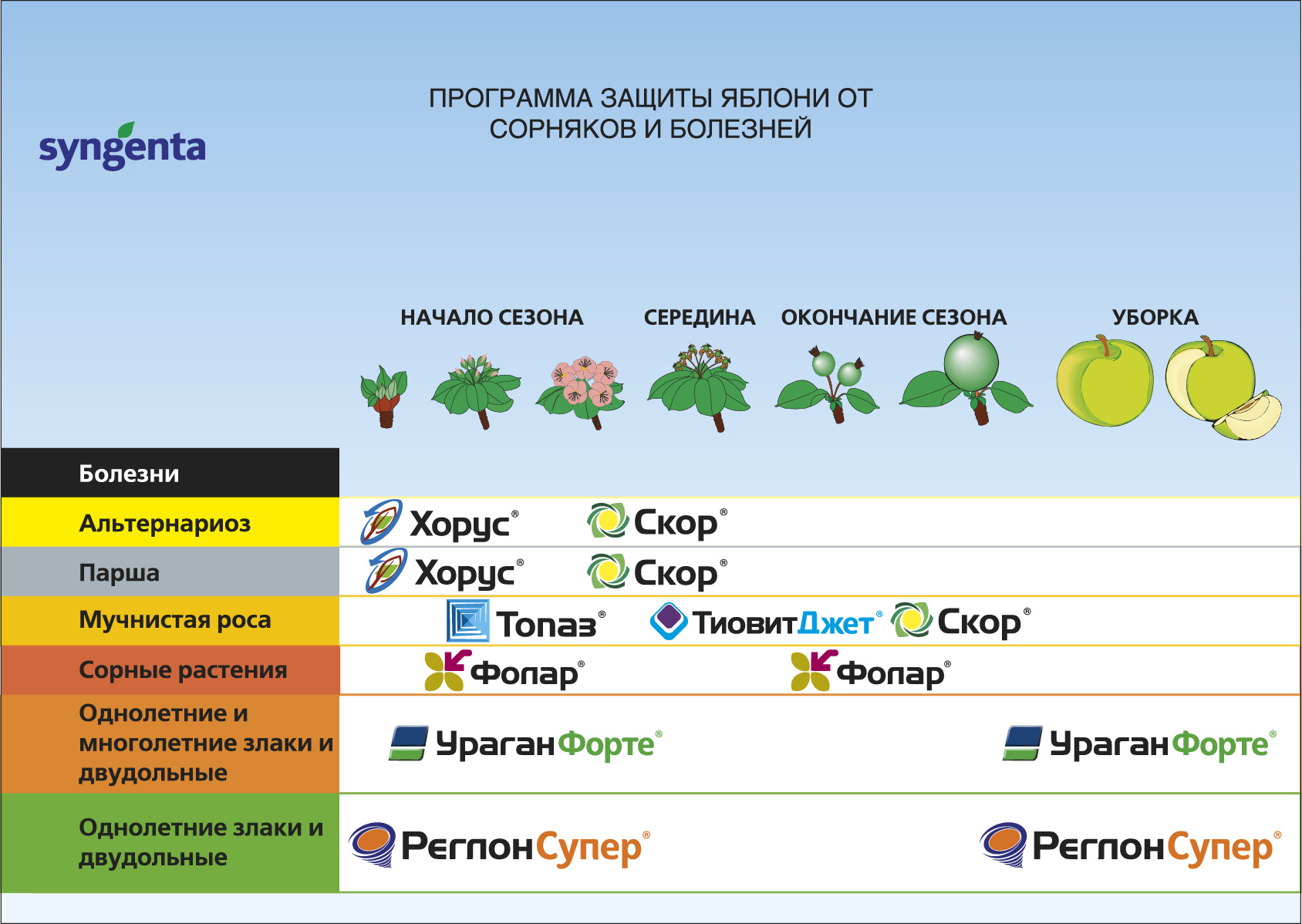 Схема защиты винограда