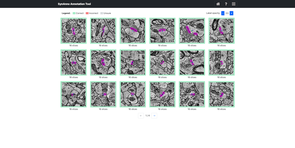 Grid View