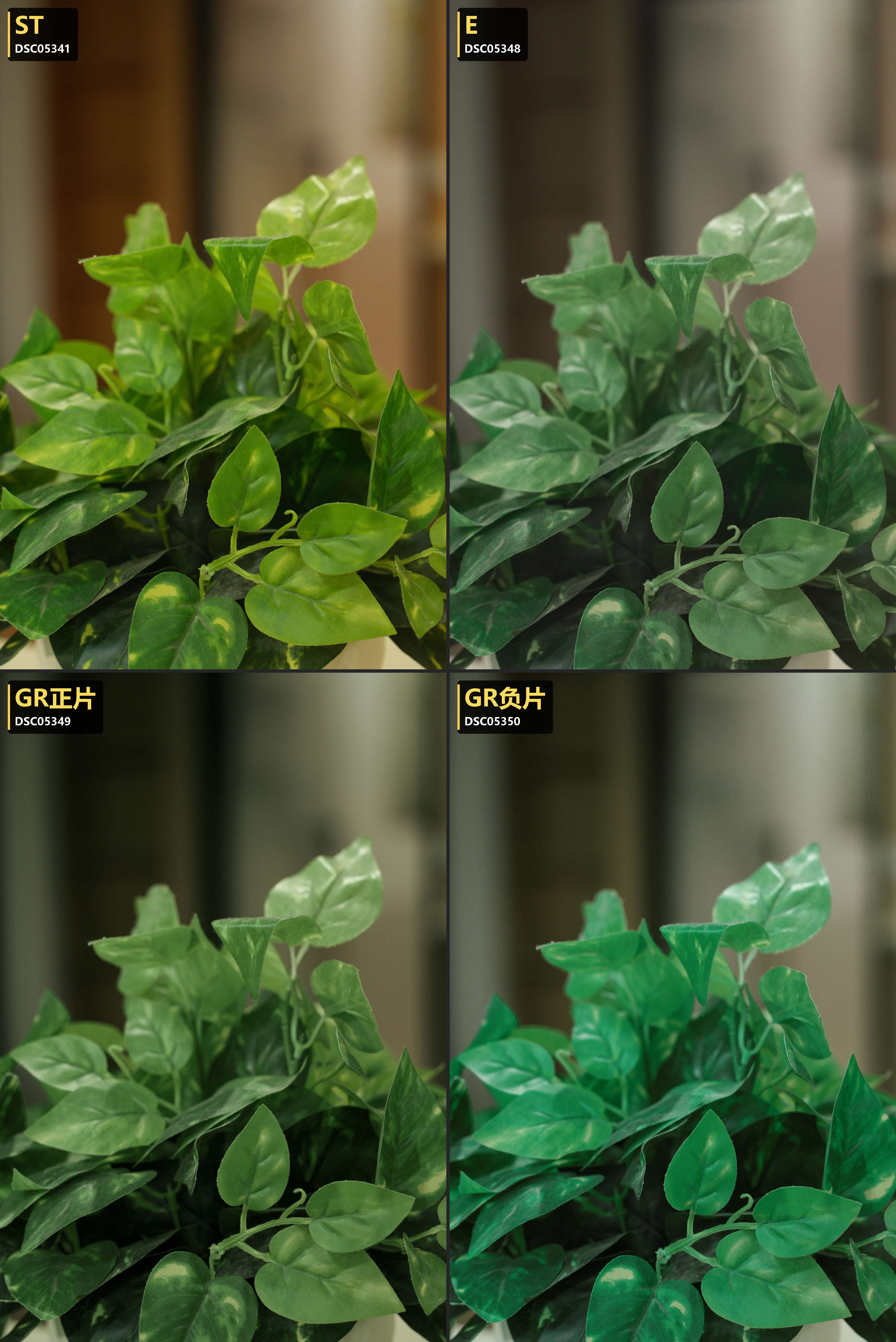 02 · Plants — ST / Eterna / GR Positive / GR Negative