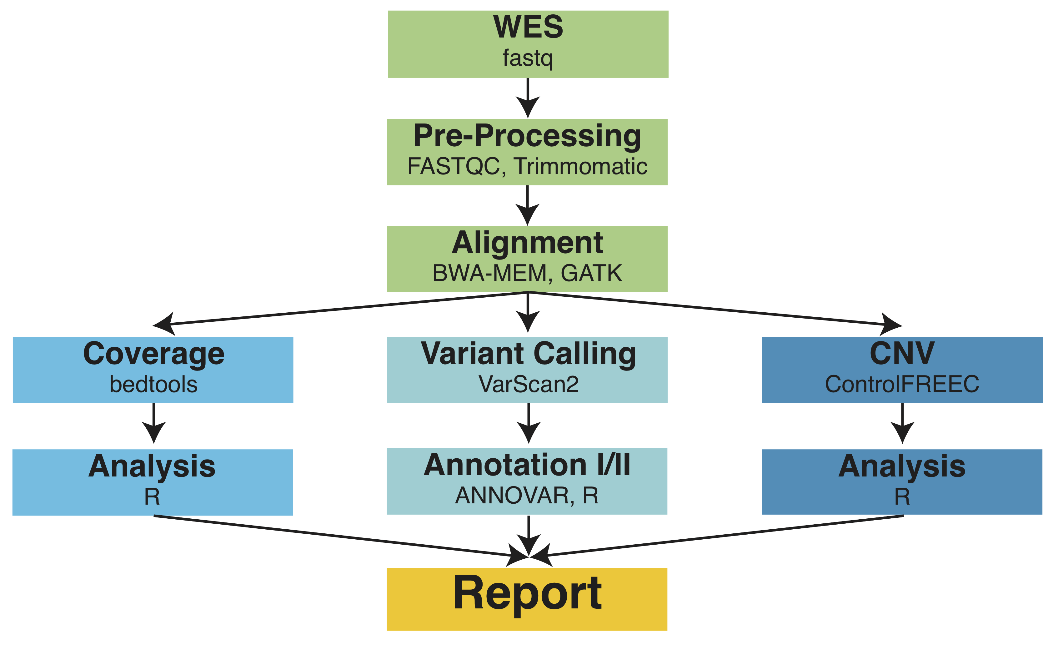 MIRACUM-Pipe workflow