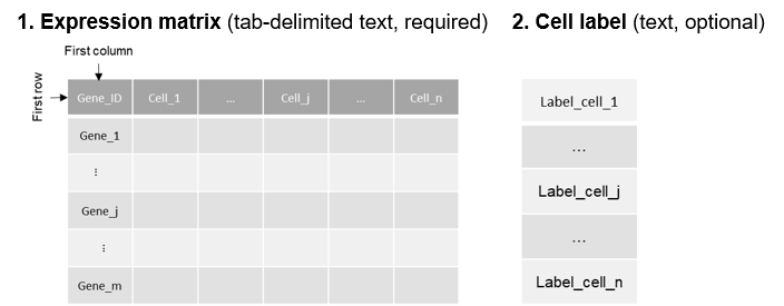 input format