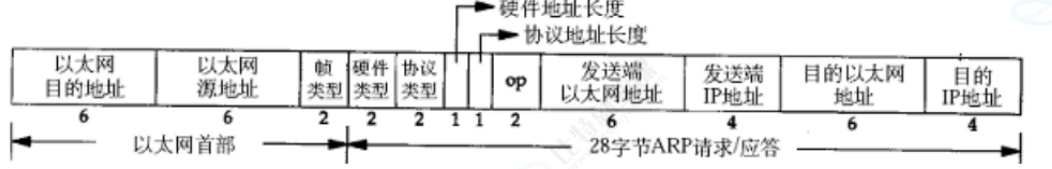 ARP报文