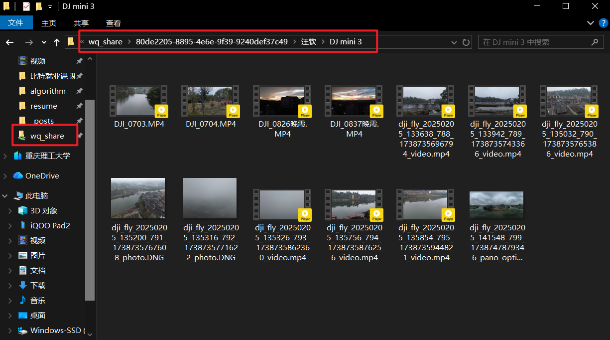 image-20251209204446281