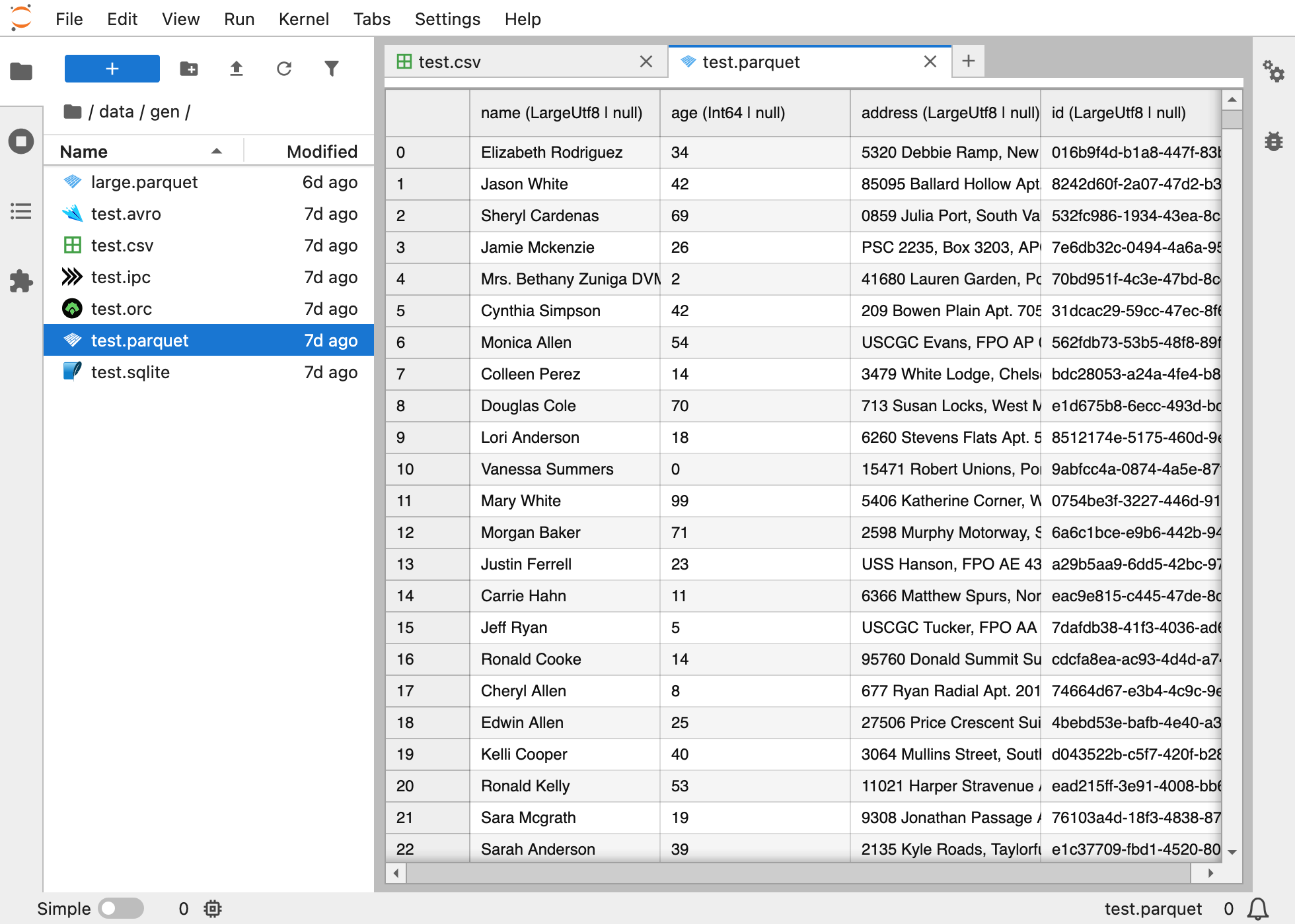 A Parquet file opened with Arbalister