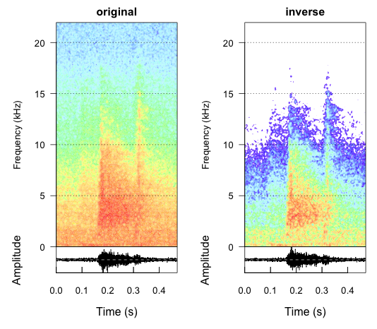 spectrographic plot of original and inversed audio