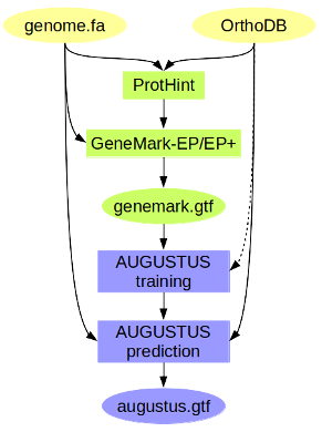 braker2-main-c[fig3]