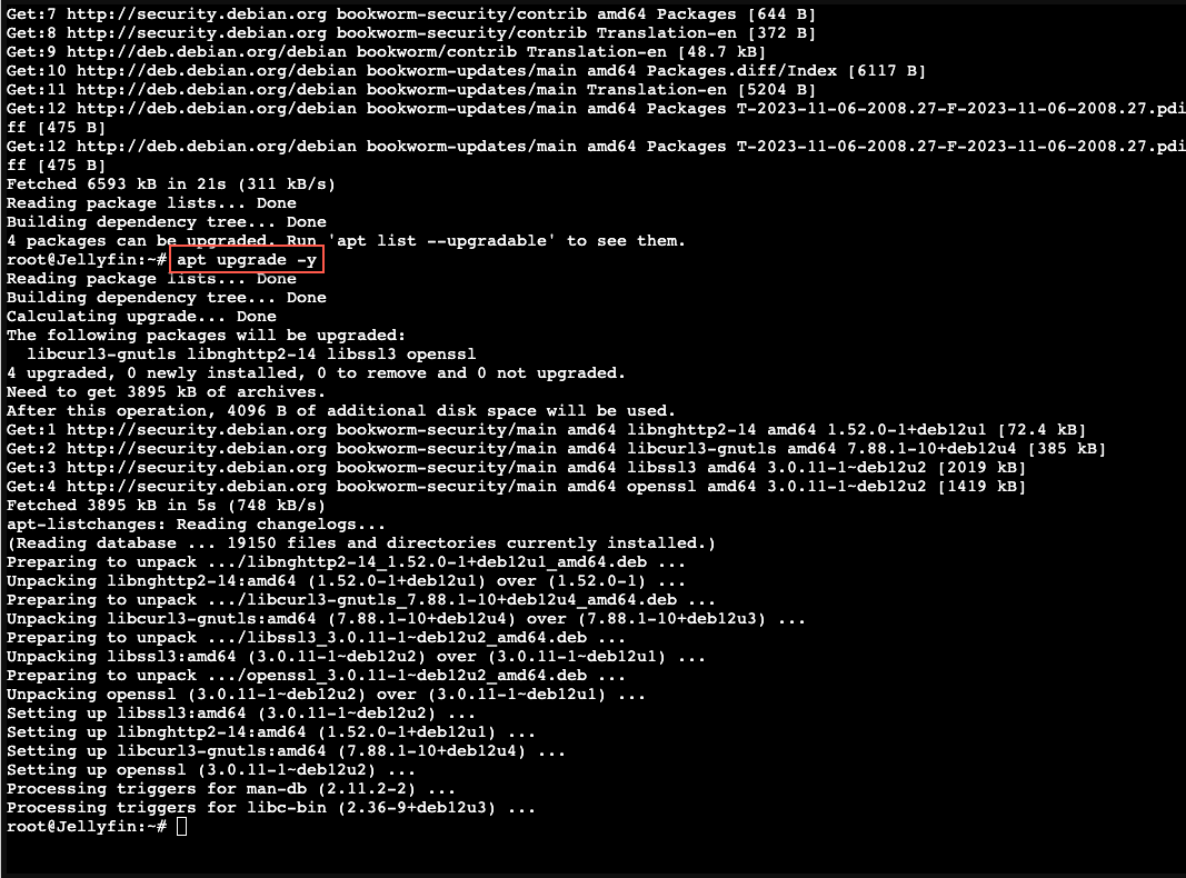 11.create-lxc-jellyfin-upgrade
