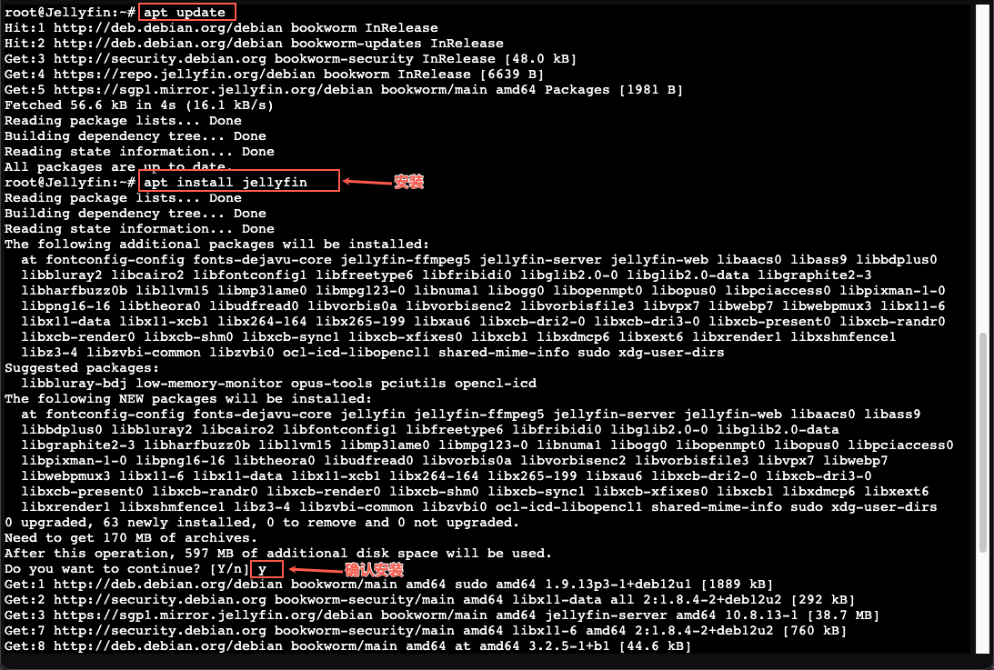 13.create-lxc-jellyfin-install-jellyfin