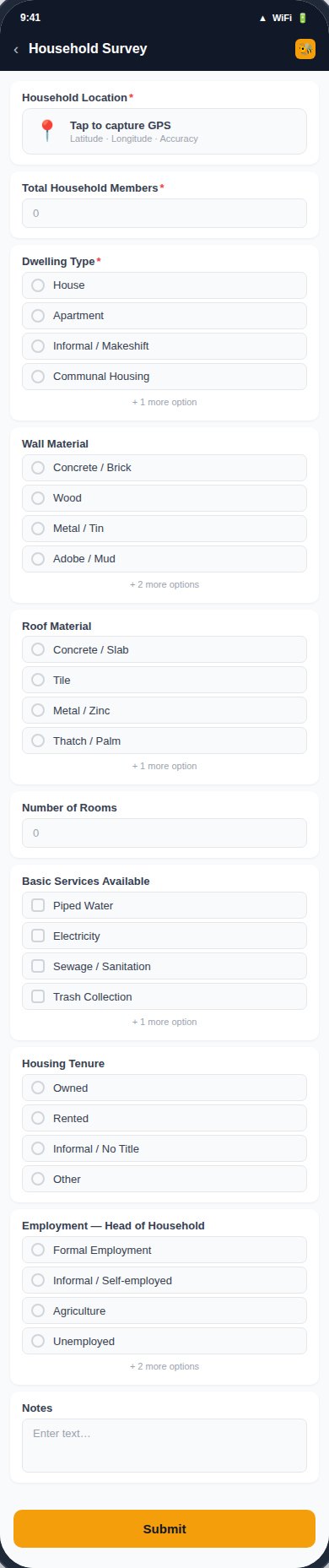 Household Survey form preview