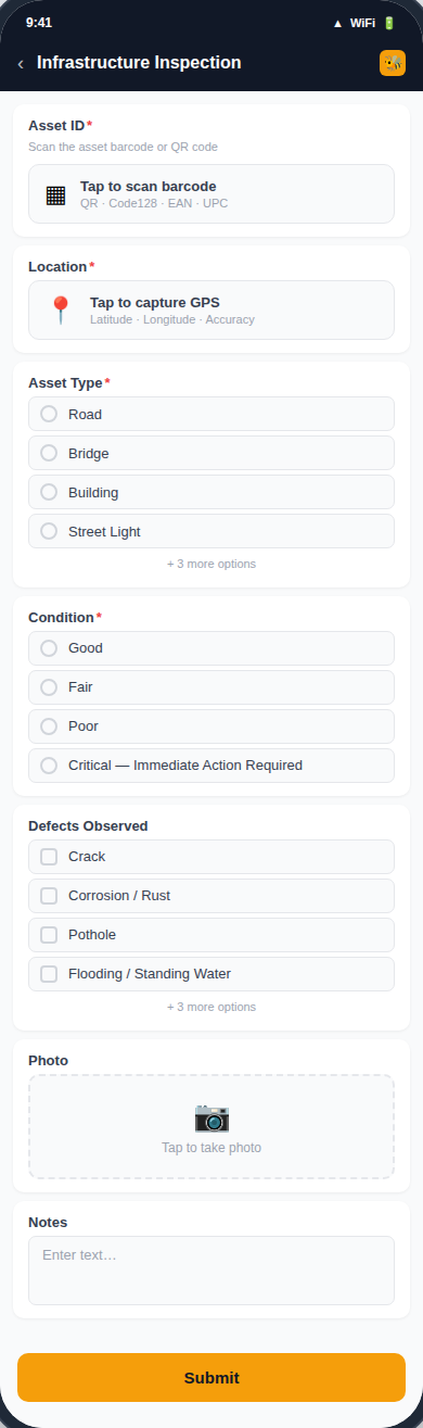 Infrastructure Inspection form preview
