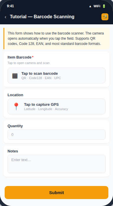 Barcode Scan form preview