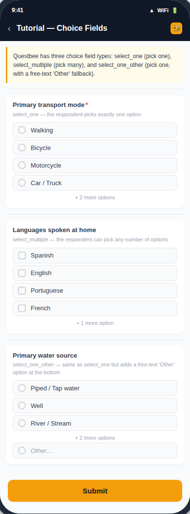 Choices form preview