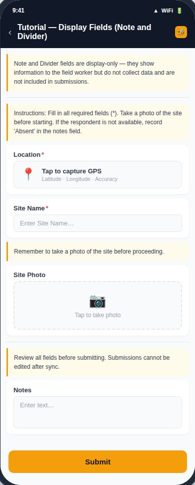 Display Fields form preview