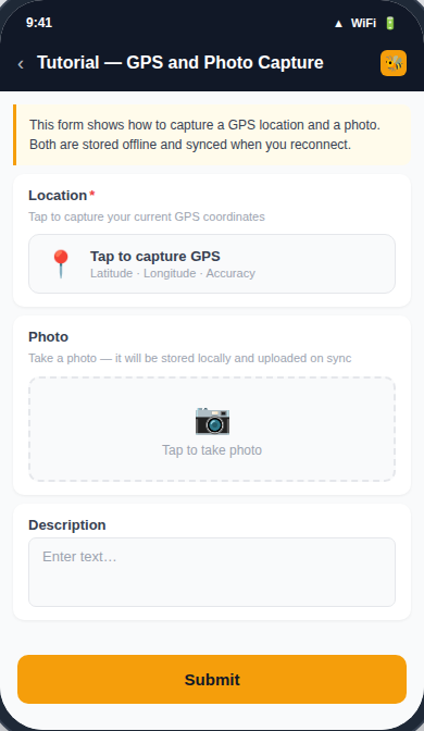 GPS and Photo form preview