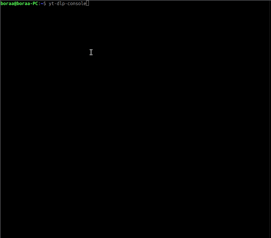yt-dlp-console interactive demo
