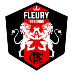 FC Fleury 91