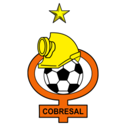 Team Logo