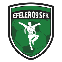 Efeler 09 Spor FK