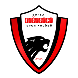 Doğugücü FK