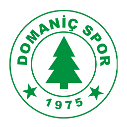 Domaniçspor