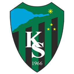 Team Logo